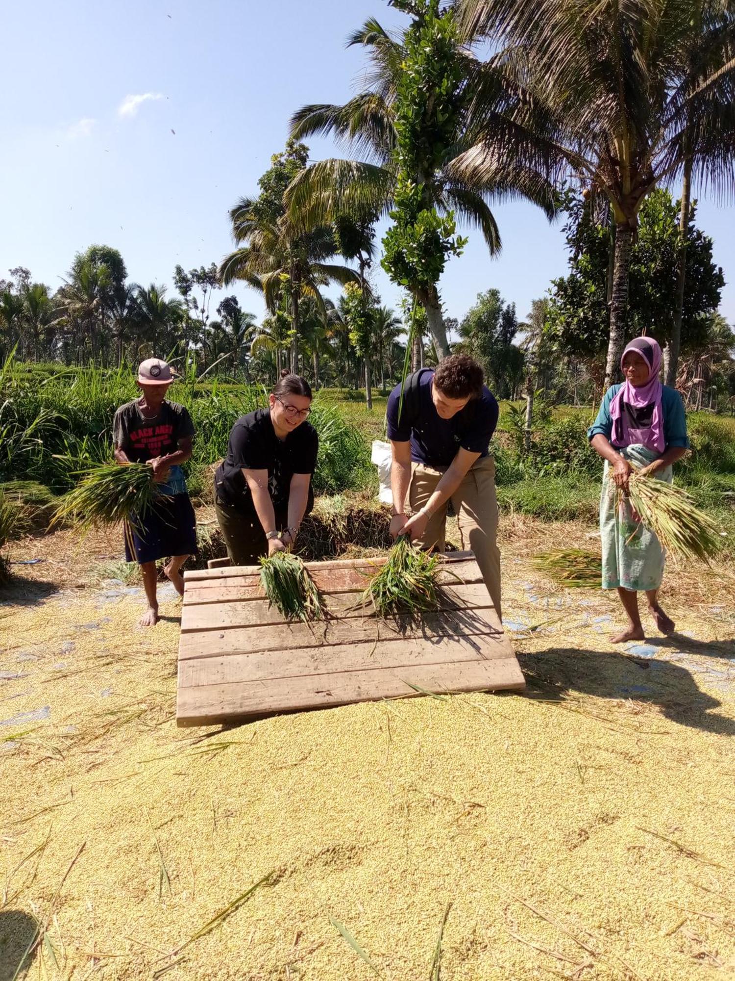 Syaqila Homestay Lombok Tetebatu Eksteriør billede