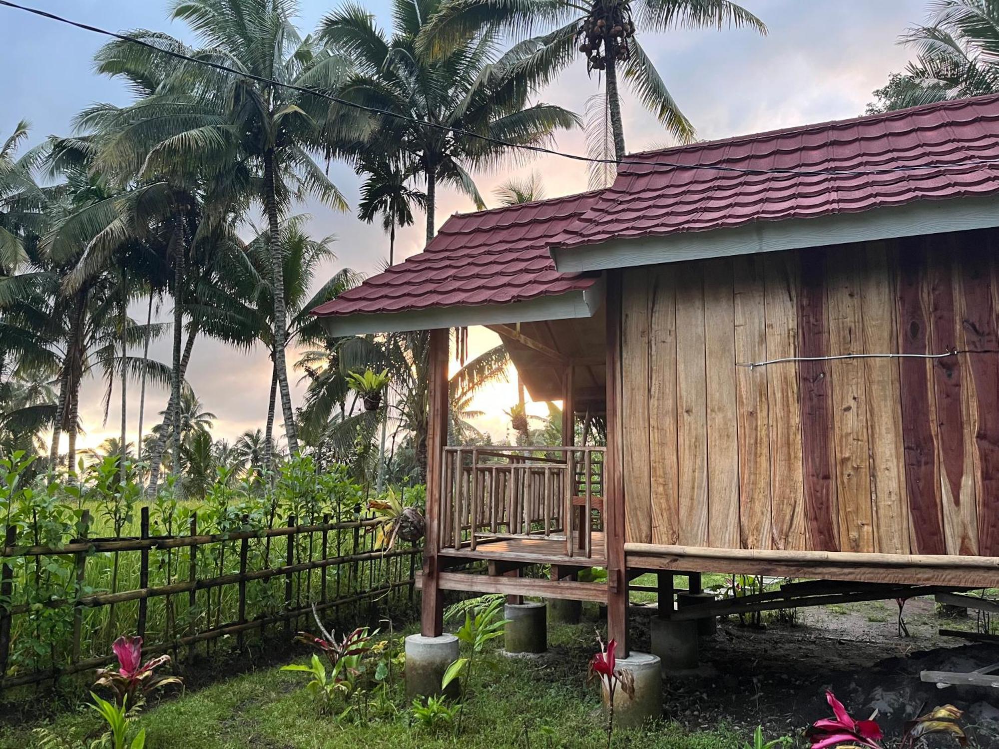 Syaqila Homestay Lombok Tetebatu Eksteriør billede