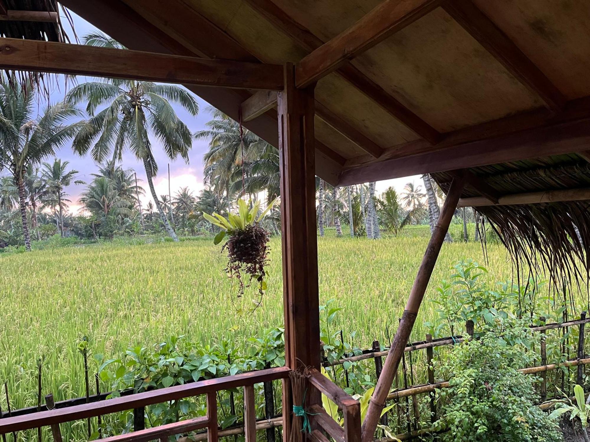 Syaqila Homestay Lombok Tetebatu Eksteriør billede
