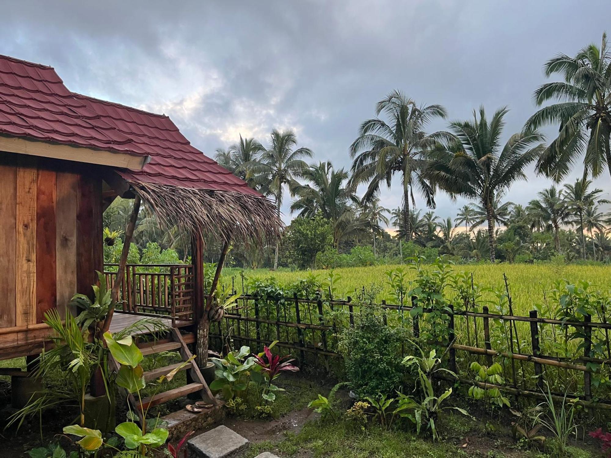 Syaqila Homestay Lombok Tetebatu Eksteriør billede