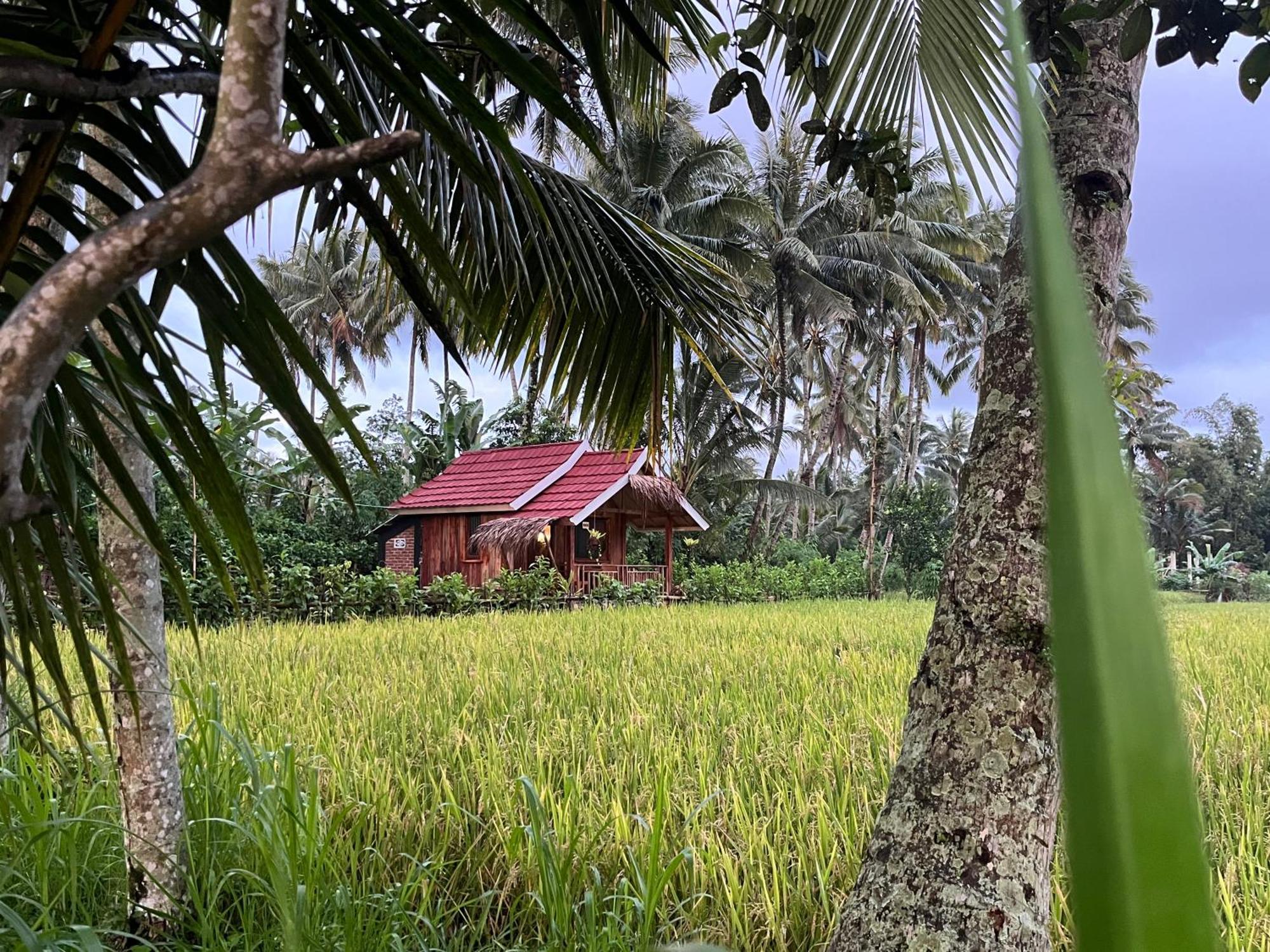 Syaqila Homestay Lombok Tetebatu Eksteriør billede