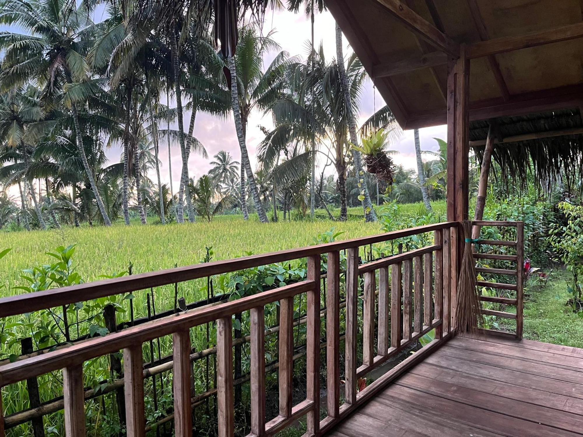 Syaqila Homestay Lombok Tetebatu Eksteriør billede