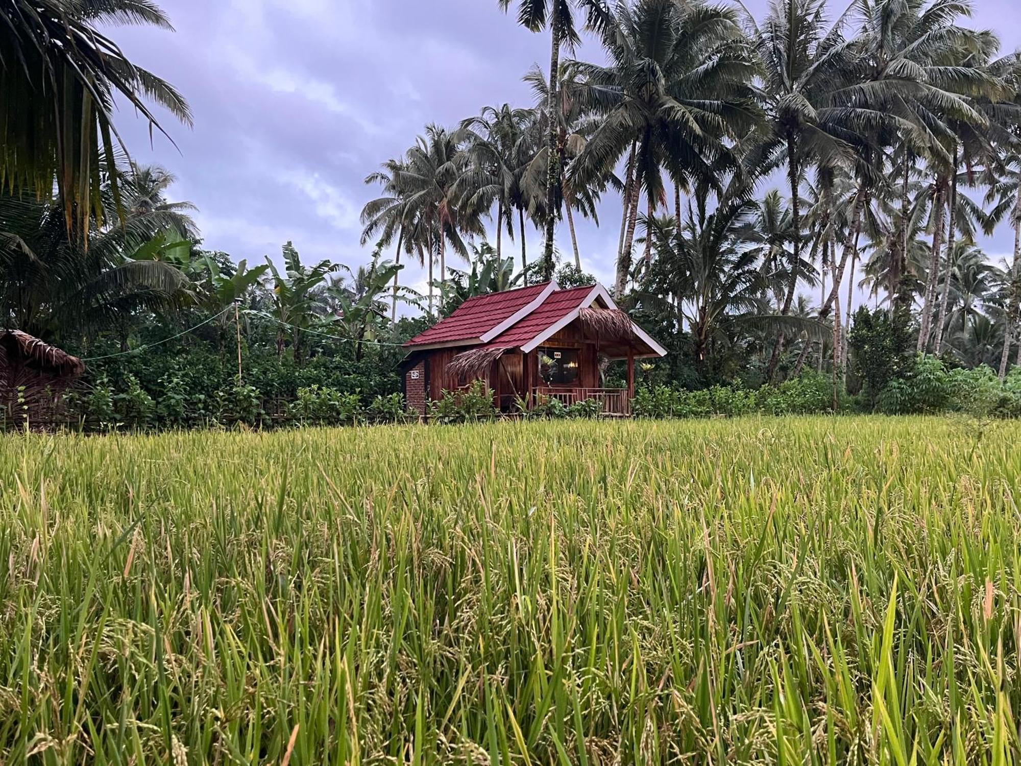 Syaqila Homestay Lombok Tetebatu Eksteriør billede
